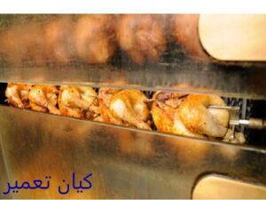 تعمیر فر توکار داتیس 5 تعمیر جوجه گردان فر توکار داتیس