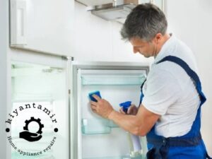 تعمیر یخچال بلومبرگ 10 از بین بردن بوی بد یخچال بلومبرگ